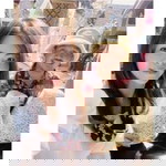 Noopemika Pt profile icon