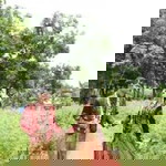 Wong Nde So profile icon