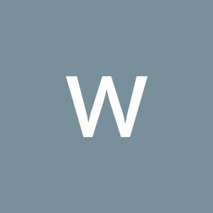 wim Vim profile icon