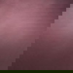 Bebe Baba profile icon