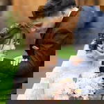 Hải Đào profile icon