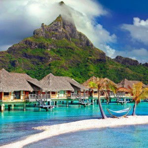 Thị Hoa Hồ profile icon