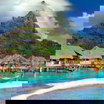 Thị Hoa Hồ profile icon