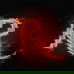 Rahma Rahma profile icon