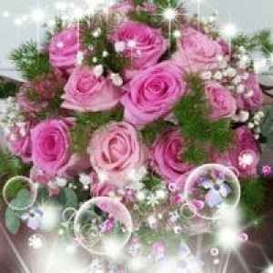 Le Oanh profile icon