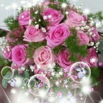 Le Oanh profile icon