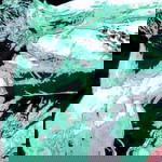 Syarifah Amirah profile icon