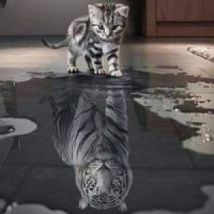 Murtofingah profile icon