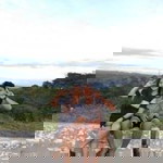 Mariel Manabat Sinagub profile icon