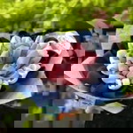 Ananda Fitt profile icon