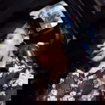 Cali Mndz profile icon