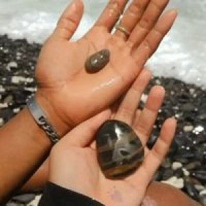 New Narisra profile icon