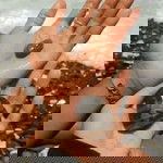 New Narisra profile icon