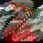 Friwina Ginting profile icon