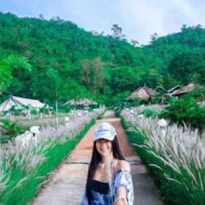 Mickey May profile icon