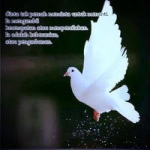 Aini Noor profile icon