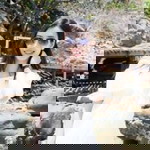 Wanida Phuthookmok profile icon