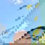 Andi Basman De'paraga profile icon