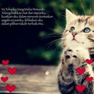 Besta Sawitri profile icon