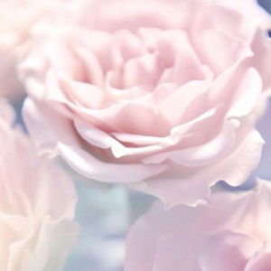 Sonaya Anarkali profile icon