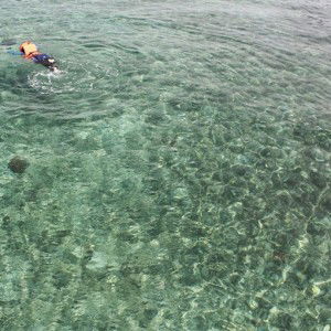 rabiatul adawiyah profile icon