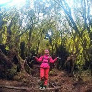 Nor Hafidah profile icon