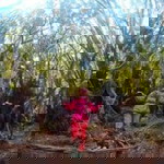 Nor Hafidah profile icon