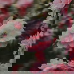 stefani indra profile icon