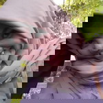fitri _ profile icon