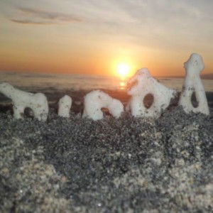 ninda putri profile icon