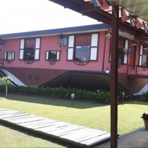 Nur Ieda profile icon