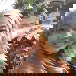 Anisa Jalal profile icon