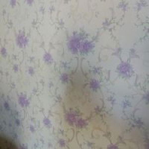 Elisna Bundanya Shafa profile icon