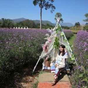 Chontida Exoe profile icon