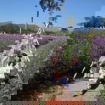 Chontida Exoe profile icon