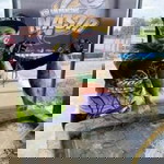 Hunny Angler profile icon