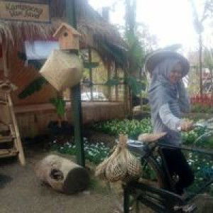 Anisa Riyani profile icon