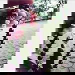 Ulfah Hijabmuslimah profile icon