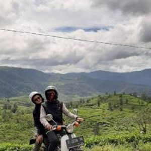 Reni Anggraeni profile icon