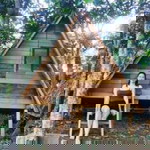 Che Belaco-Javier profile icon