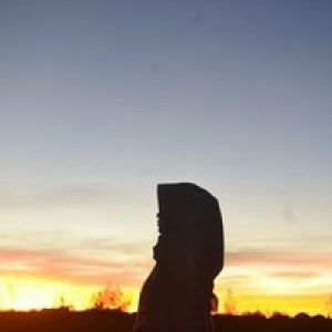 نوفيتا ساري profile icon