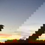 نوفيتا ساري profile icon