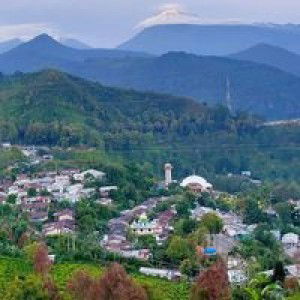 Uswah Puspus profile icon