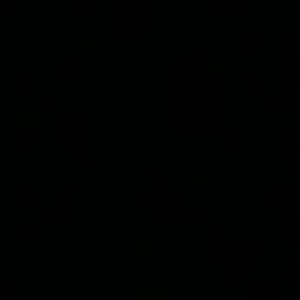 iendhatan profile icon