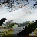 Riani Niw profile icon