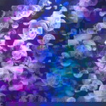 Dea Sonia profile icon