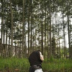 Icha Ino profile icon