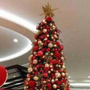 Abigail Quibuyen Faustino profile icon