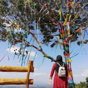 annis chang profile icon