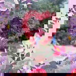 Umi Rodiyah profile icon